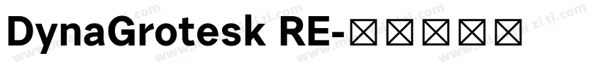 DynaGrotesk RE字体转换
